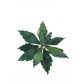 Green Beaded Poinsettia Clip 11cm