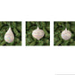 Glass Pearl Droplet Ornament